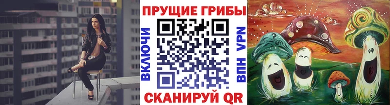 Псилоцибиновые грибы прущие грибы  что такое   Черняховск 
