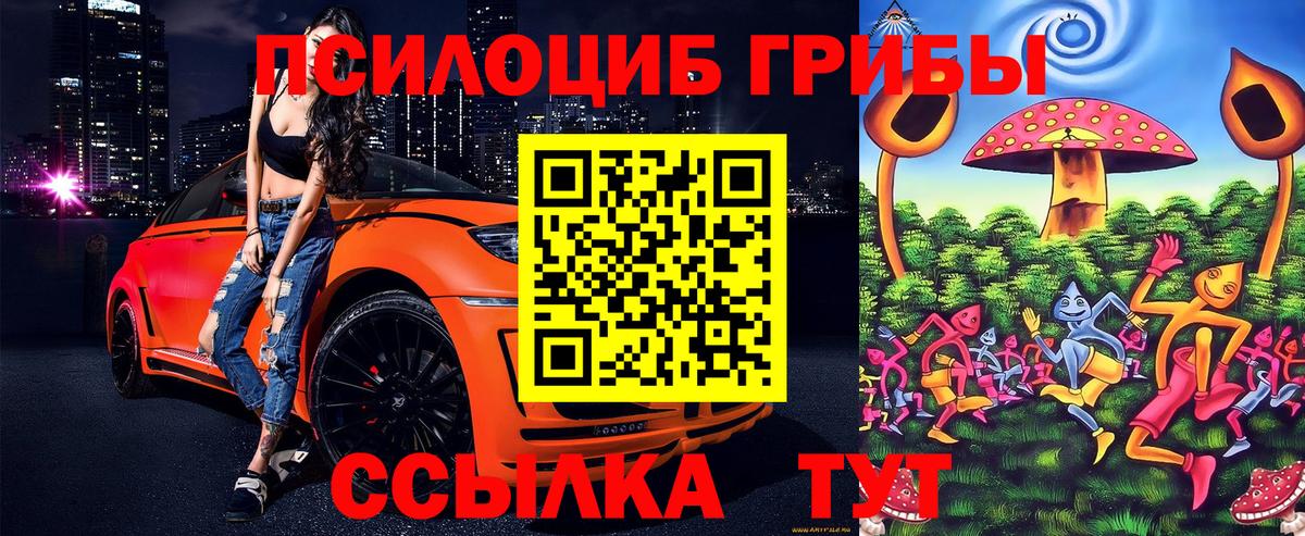 Галлюциногенные грибы Cubensis  Вход с VPN  Псилоцибиновые грибы MAGIC MUSHROOMS  Черняховск 